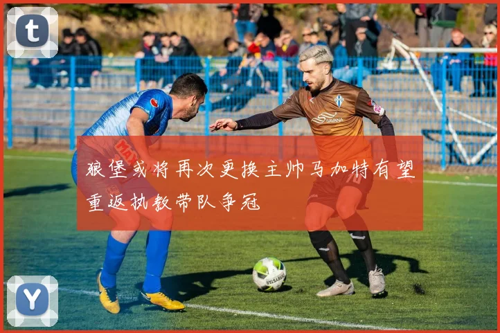 狼堡或将再次更换主帅马加特有望重返执教带队争冠